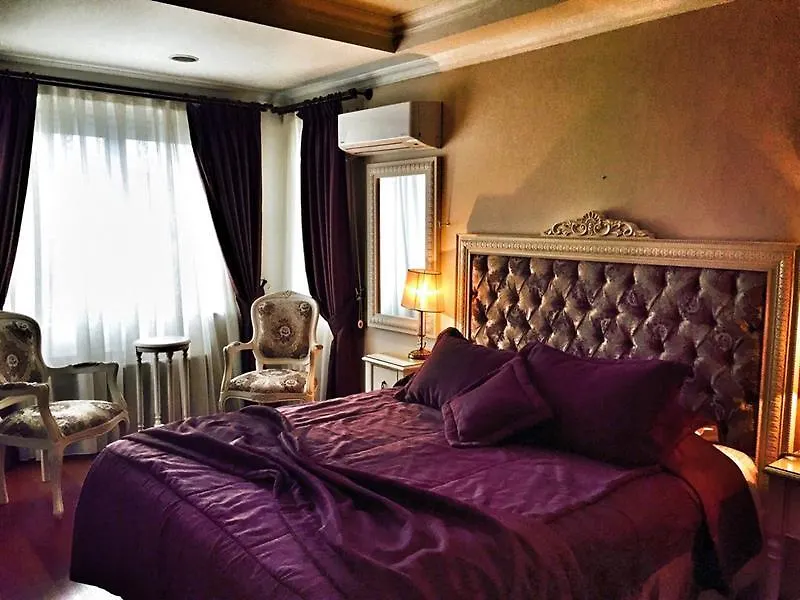 ****  Hotel Daphne Istanbul Turkey